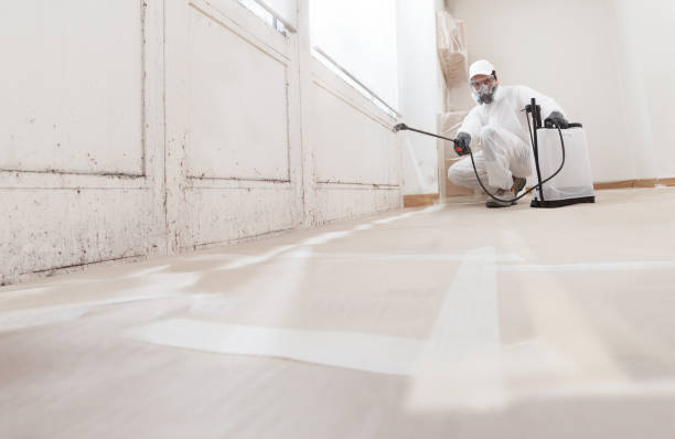 24/7 Emergency Mold Inspection experts in Coats, NC